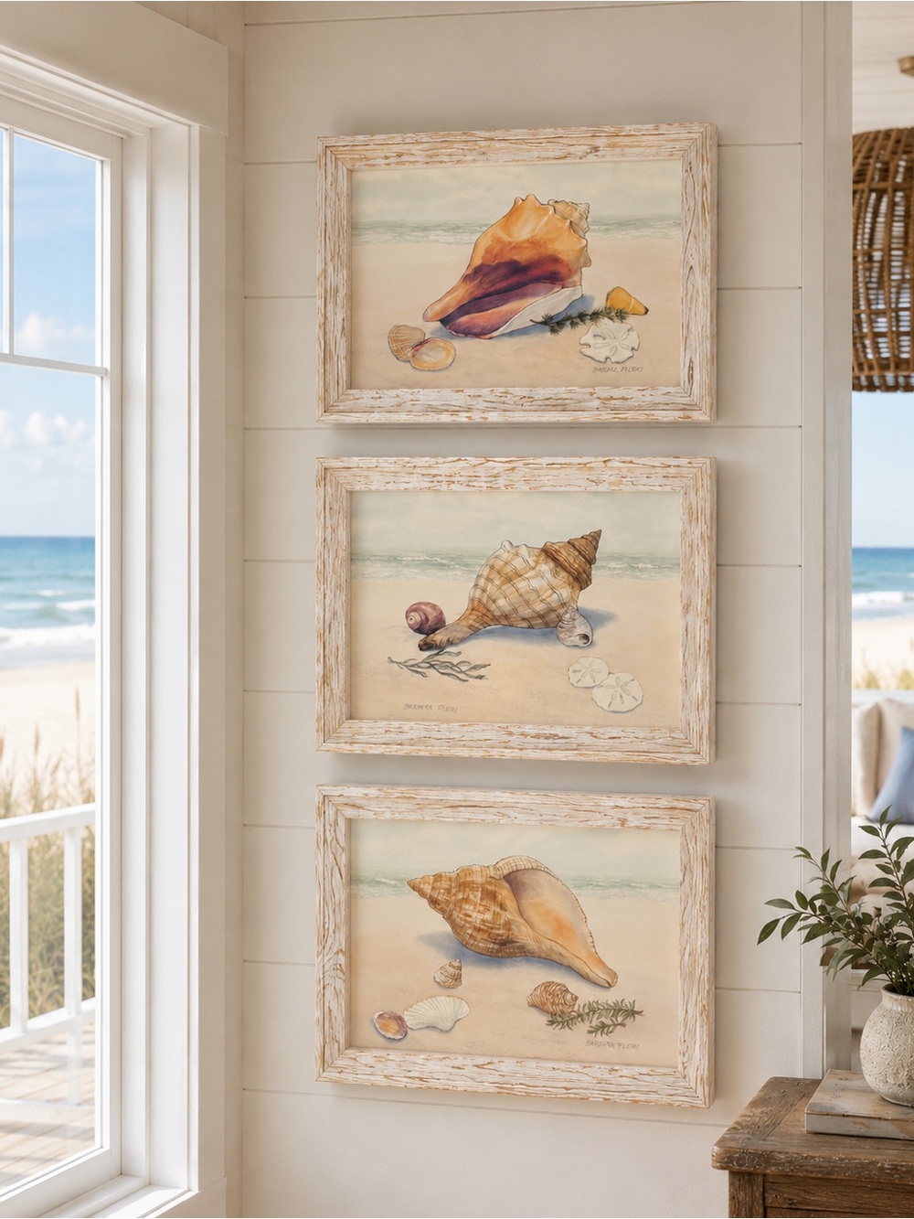 Barbara Fleri Seashell Prints | Set of 3 | Coastal Beach Wall Art